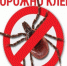 Профилактика и защита от клещей - ГБУЗ КО Светлогорская ЦРП
